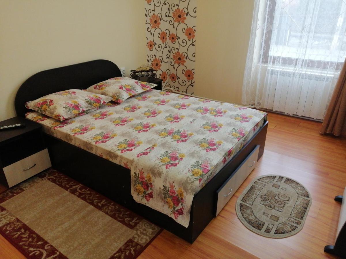Hotel Casa Ovi Si Simo Haţeg Exteriér fotografie