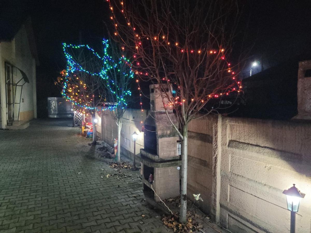 Hotel Casa Ovi Si Simo Haţeg Exteriér fotografie