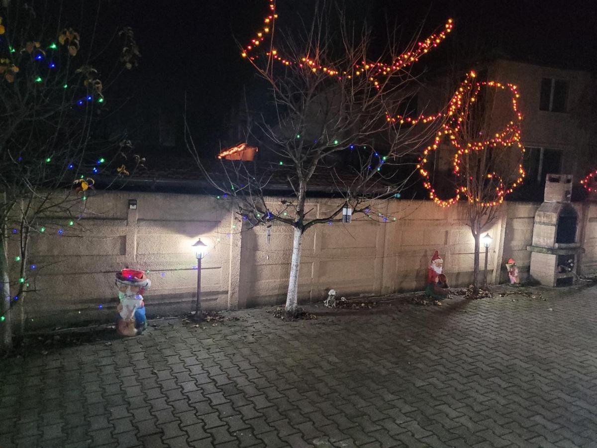 Hotel Casa Ovi Si Simo Haţeg Exteriér fotografie