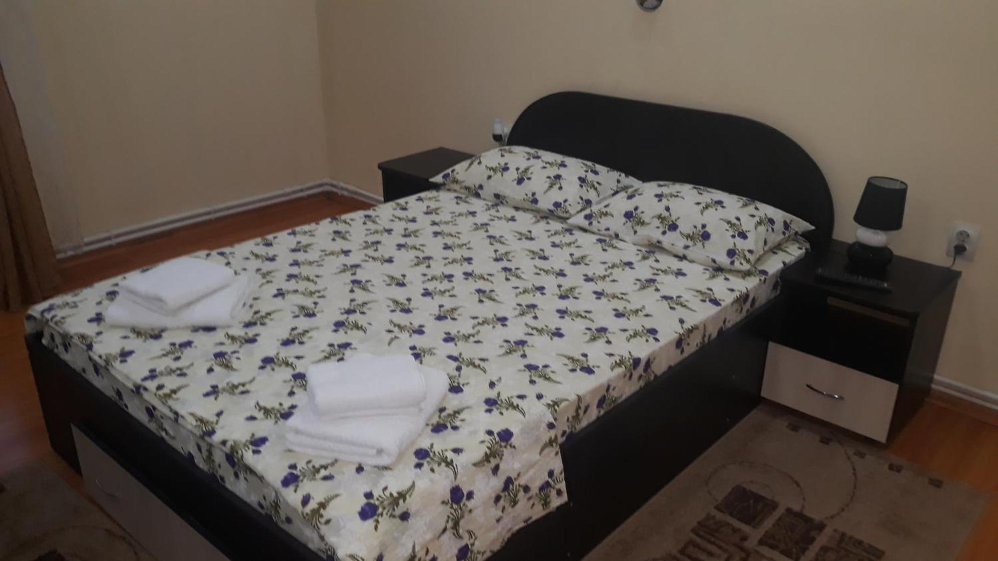 Hotel Casa Ovi Si Simo Haţeg Pokoj fotografie