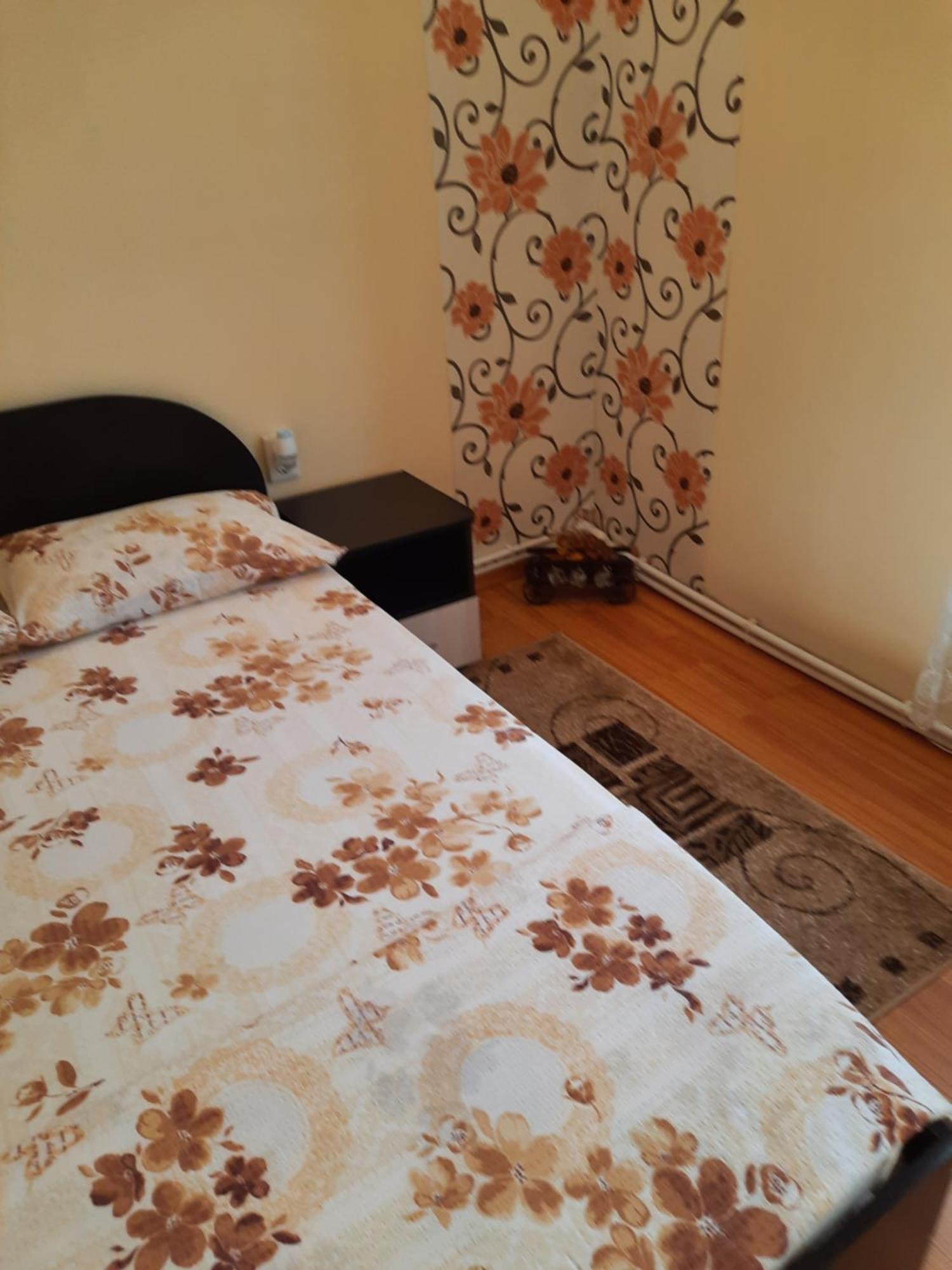 Hotel Casa Ovi Si Simo Haţeg Pokoj fotografie