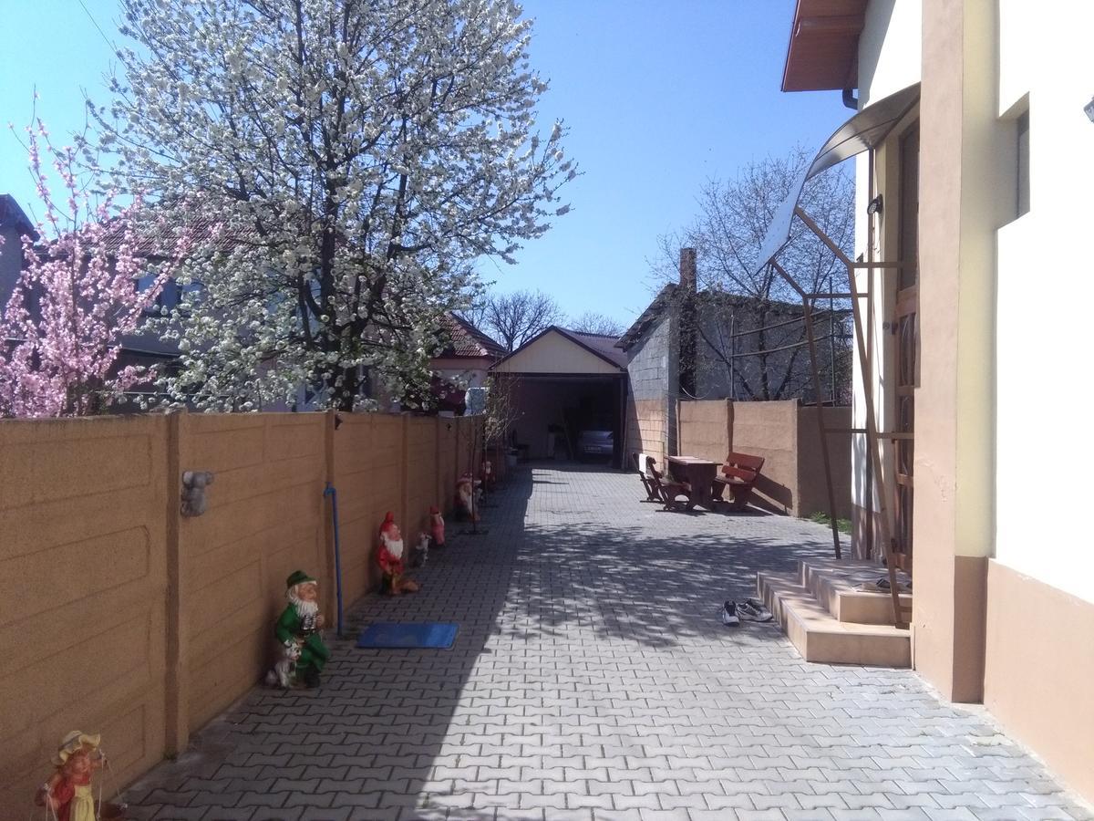 Hotel Casa Ovi Si Simo Haţeg Exteriér fotografie
