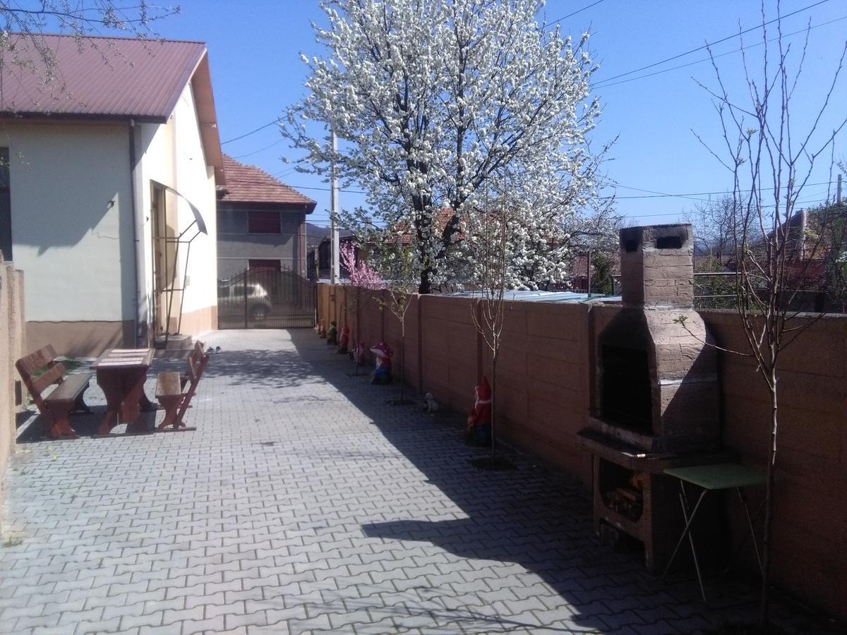 Hotel Casa Ovi Si Simo Haţeg Exteriér fotografie