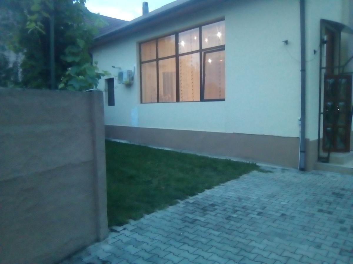 Hotel Casa Ovi Si Simo Haţeg Exteriér fotografie