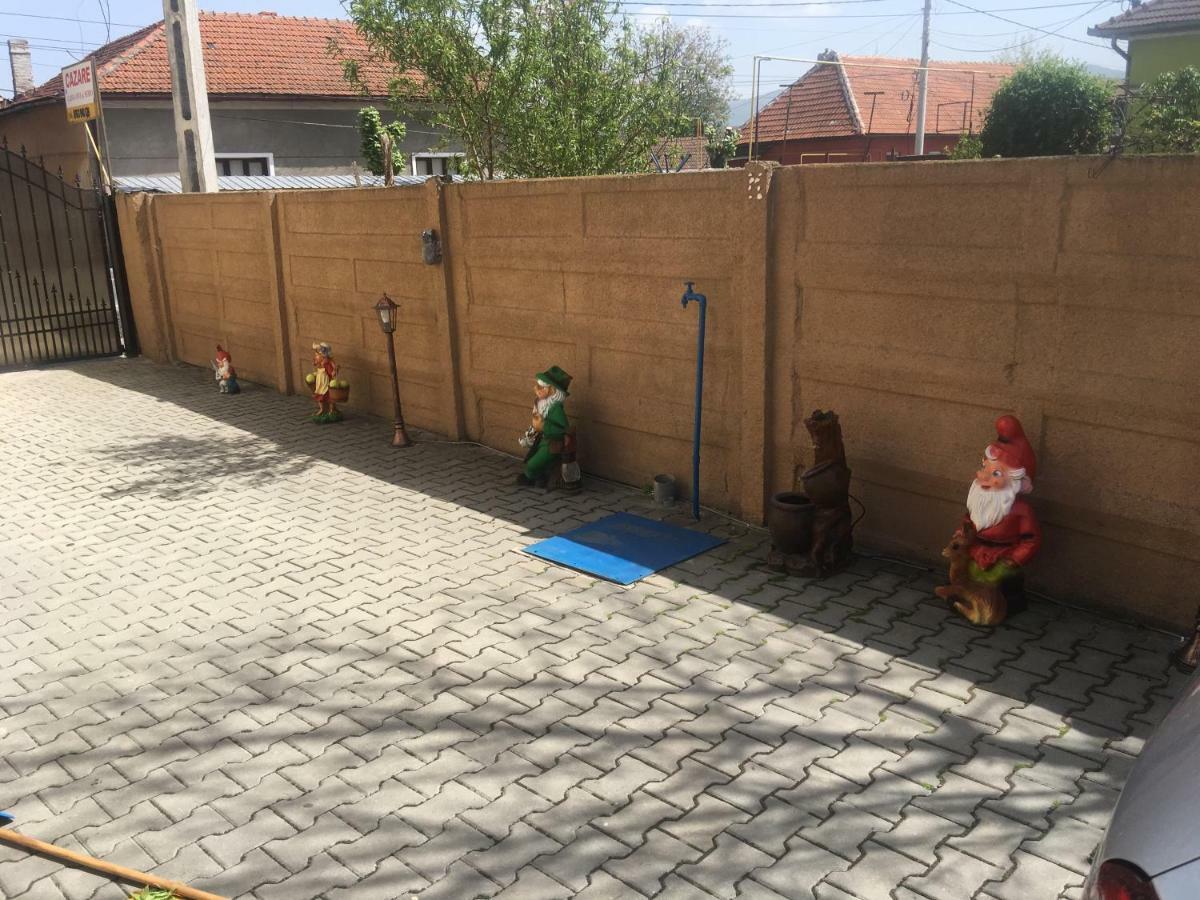 Hotel Casa Ovi Si Simo Haţeg Exteriér fotografie